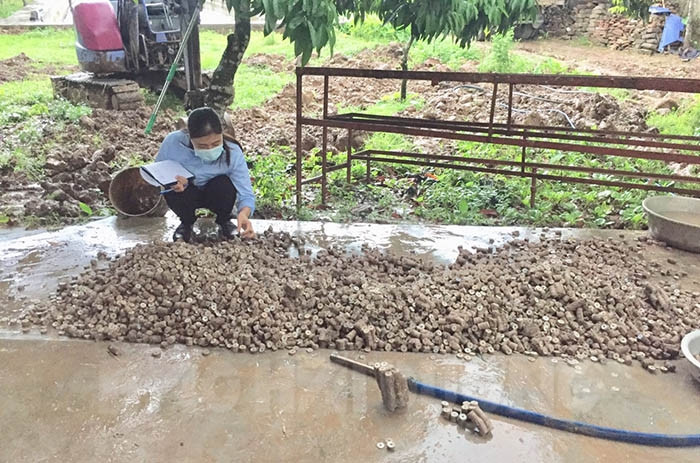Large number of ancient coins found in Thanh Quang commune